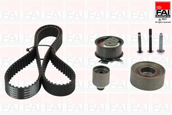 FAI AUTOPARTS Комплект ремня ГРМ TBK455